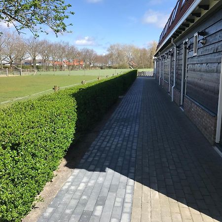 Vakantiewoningen De Schelp Renesse Extérieur photo