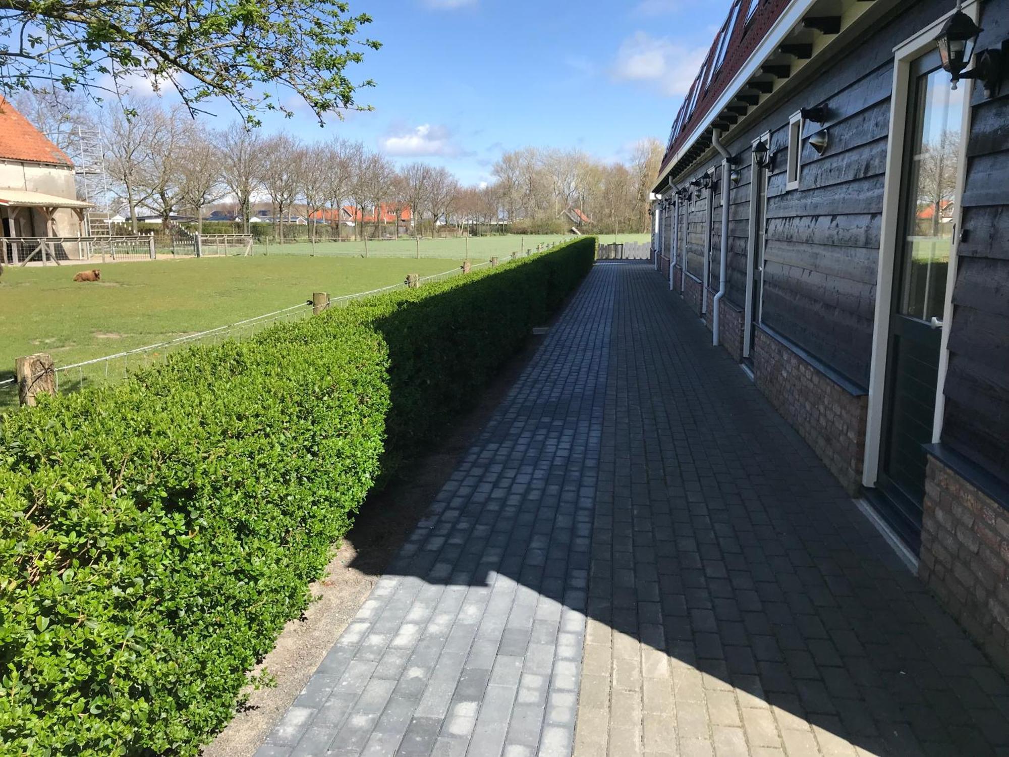 Vakantiewoningen De Schelp Renesse Extérieur photo