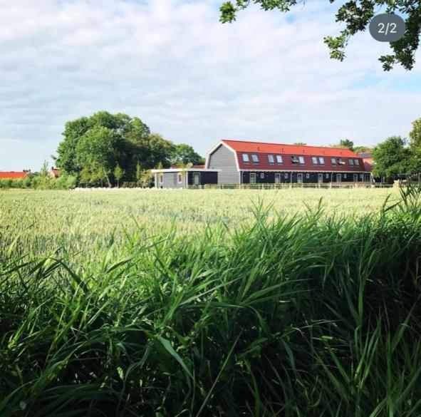Vakantiewoningen De Schelp Renesse Extérieur photo