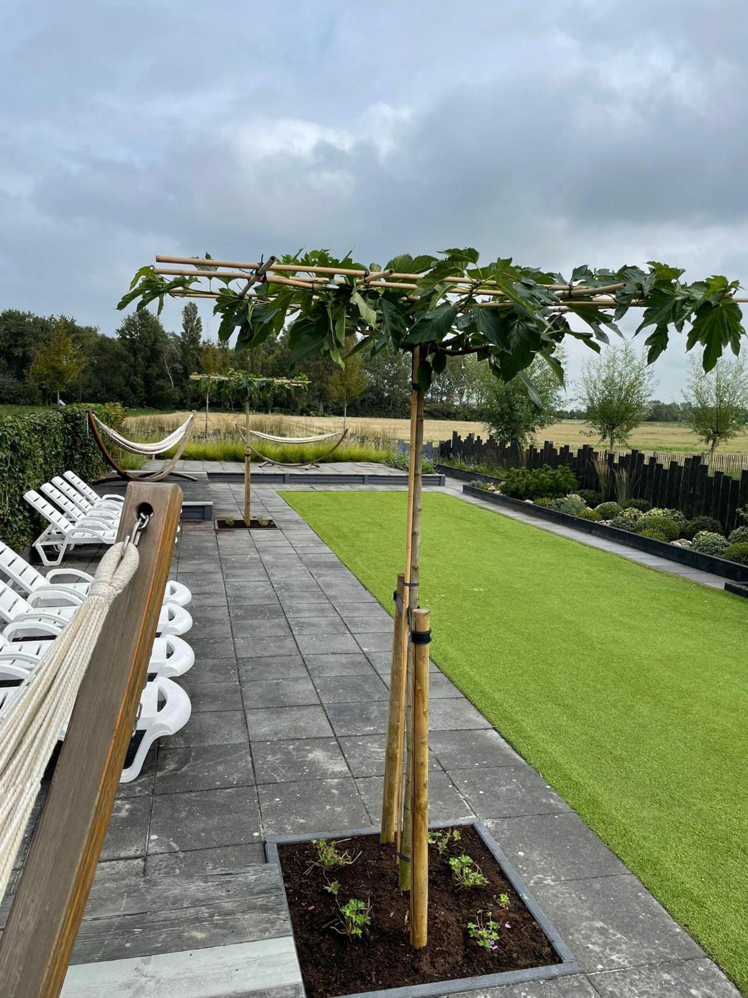 Vakantiewoningen De Schelp Renesse Extérieur photo